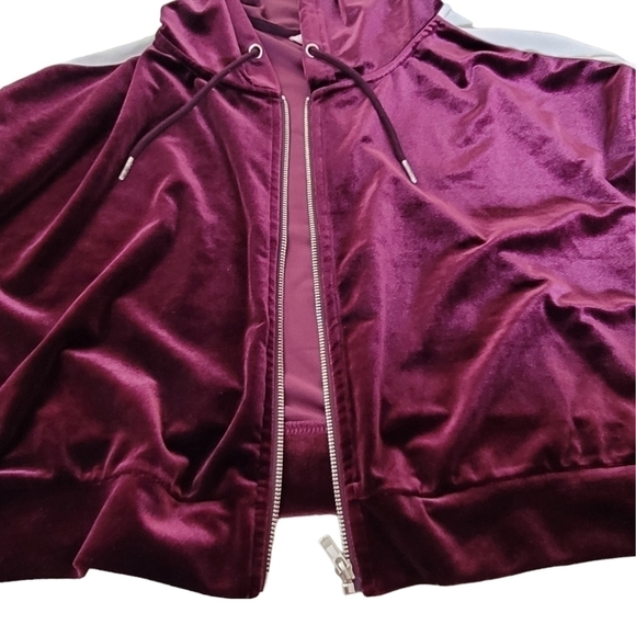 BLUENOTE Matching Purple Velvet Joggers And Hoodie Women Size L - Picture 5 of 16